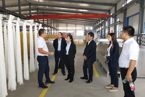 陕西航天建设集团有限公司总经理、党委副书记谢明娟率队赴辽宁Kaiyun环保产业集团开展考察调研工作